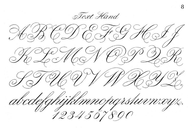 tattoo-design-curved letters