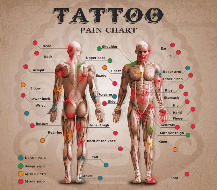 tattoo-pain-chart