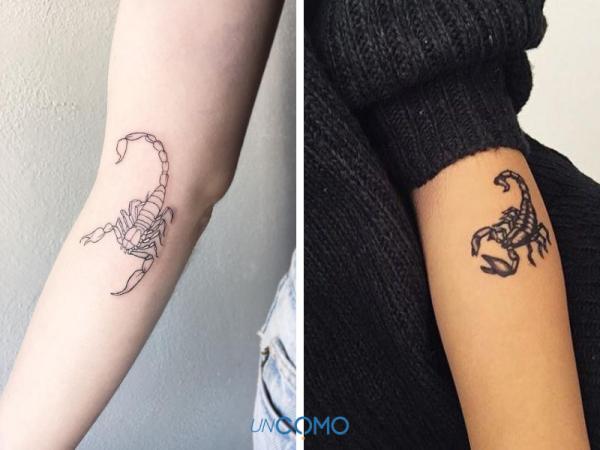 Scorpion tattoos: meaning and images - Scorpion tattoos on the arms