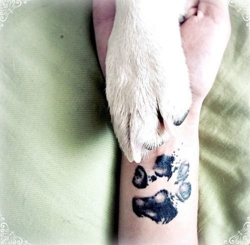 chihuahua tattoos 2 - 12 chihuahua tattoos that will make you fall in love