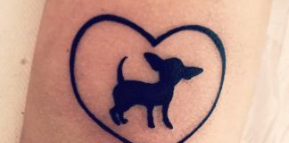 chihuahua tattoos 11 - 12 chihuahua tattoos that will make you fall in love