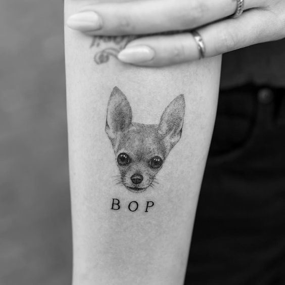 chihuahua tattoos 12 - 12 chihuahua tattoos that will make you fall in love