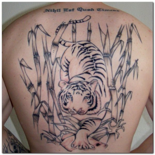 A tiger lurking among branches tattooed on the back