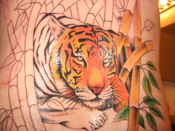 This tattoo of a tiger resting between branches is not finished, some of them still not colored