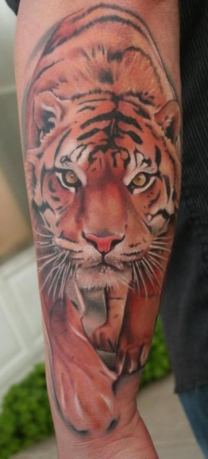 Excellently made this design of a tiger that looks real