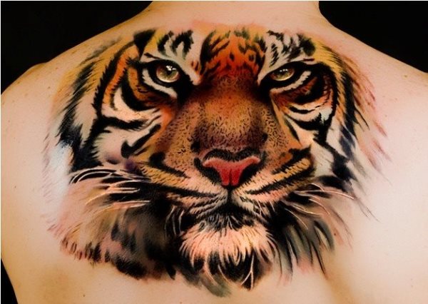 Realistic image of the face of a tattooed tiger on the upper back