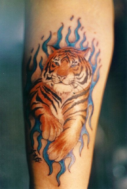 Design of a tiger with a background of blue flames