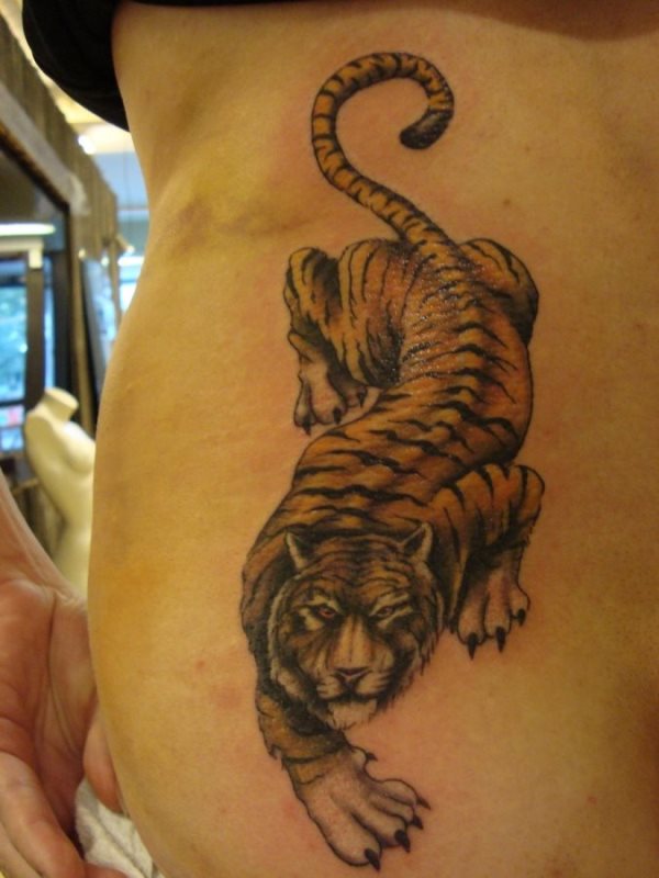 Tattoo of a tiger on the back