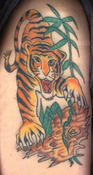 Design of a tattooed tiger on the arm