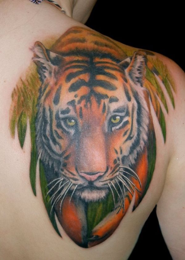 Very beautiful and colorful this design of the head of a tiger on the back